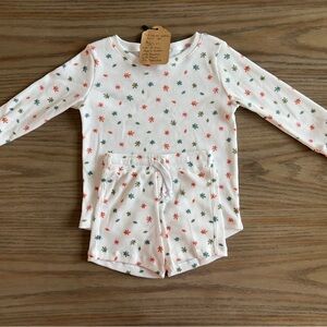 Fall Leaves Long Sleeve Top and Shorts Set
